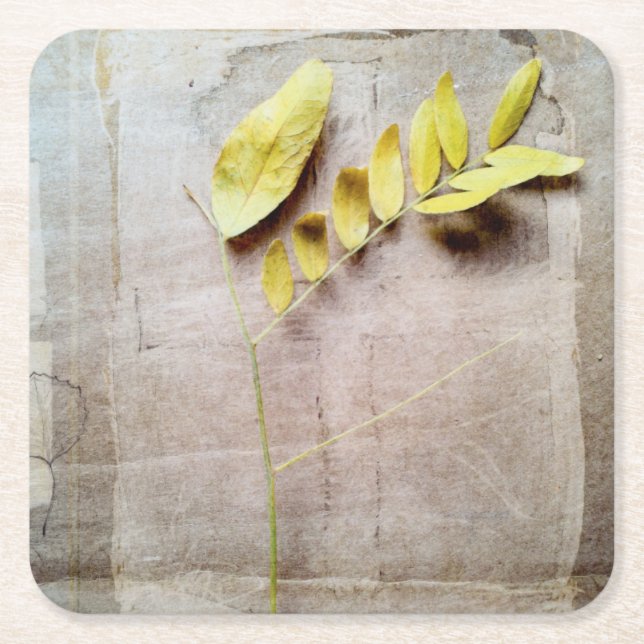 Dessous-de-verre Carré En Papier Herbarium V (Devant)