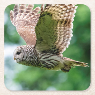 Dessous-de-verre Carré En Papier Hibou barré en vol