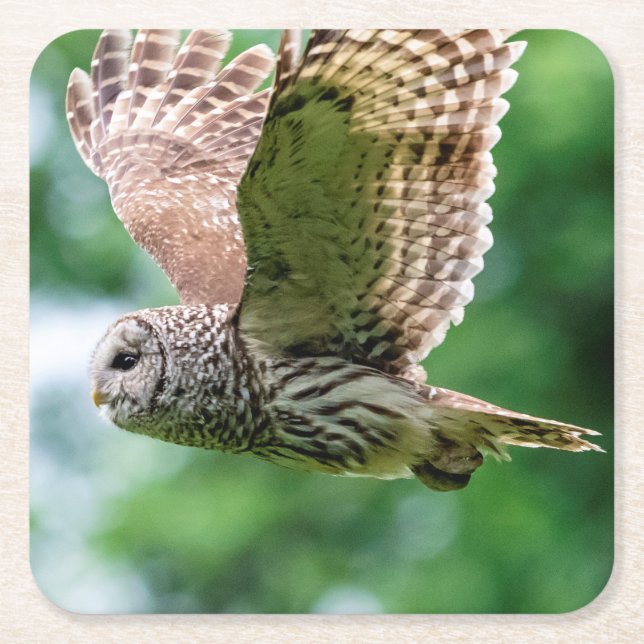 Dessous-de-verre Carré En Papier Hibou barré en vol (Devant)