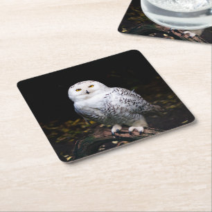 Dessous-de-verre Carré En Papier Hibou des neiges majestueux d'hiver