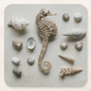 Dessous-de-verre Carré En Papier Hippocampe et coquilles