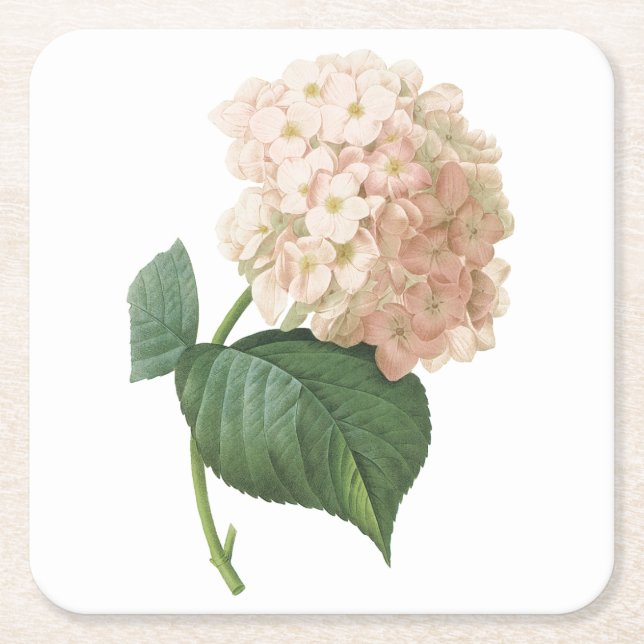 Dessous-de-verre Carré En Papier hortensia(Hydrangea sp.) par Redouté (Devant)