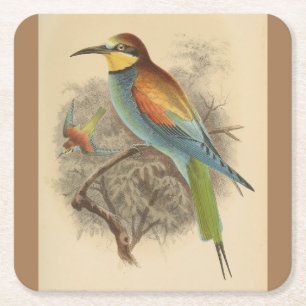 Dessous-de-verre Carré En Papier Illustration vintage de Guêpier d'Europe