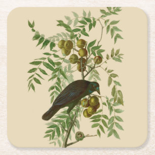 Dessous-de-verre Carré En Papier Impression d'oiseau Grackle violet d'Audubon Botan