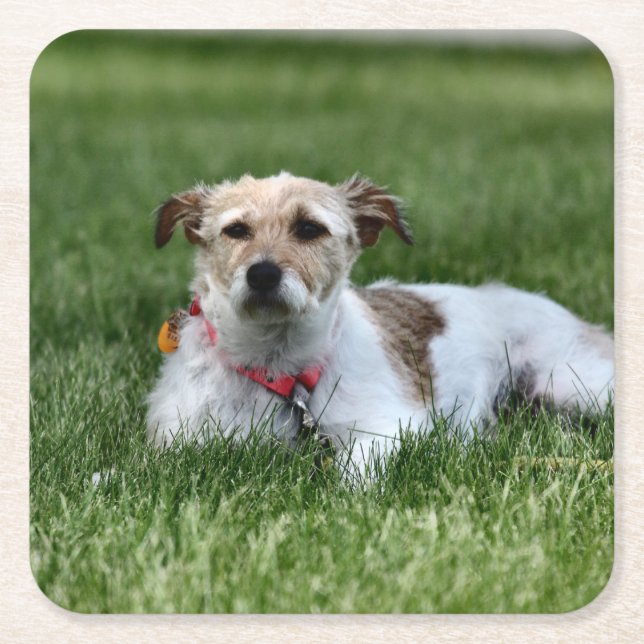 Dessous-de-verre Carré En Papier Jack (Devant)