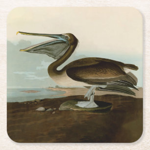 Dessous-de-verre Carré En Papier John James Audubon Peinture Pélicane Brown