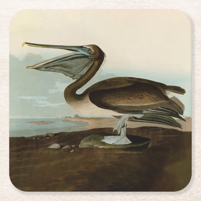 Dessous-de-verre Carré En Papier John James Audubon Peinture Pélicane Brown (Devant)
