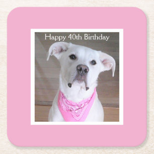 Dessous-de-verre Carré En Papier Joli Chien Aux Yeux Souloureux Anniversaire Rose