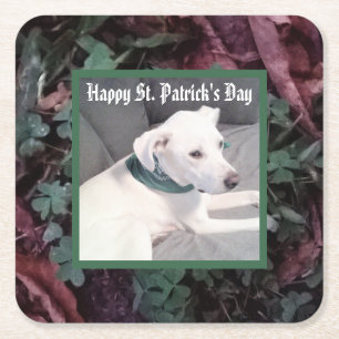 Dessous-de-verre Carré En Papier Joli chien portant une écharpe verte St. Patrick's