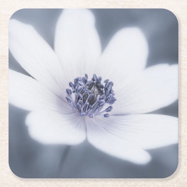 Dessous-de-verre Carré En Papier Just A Little Wildflower (Devant)