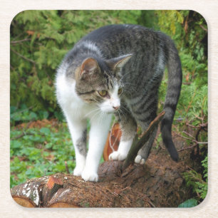 Dessous-de-verre Carré En Papier Kitty - Chat - Dessous de verre à boire