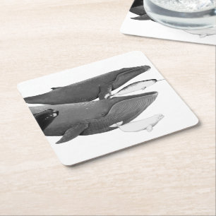 Dessous-de-verre Carré En Papier La Nage Des Baleines Illustration Art Whale Blanc