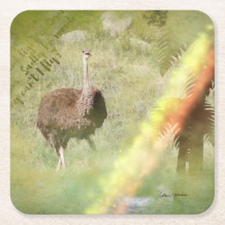 Dessous-de-verre Carré En Papier La vie d'une autruche
