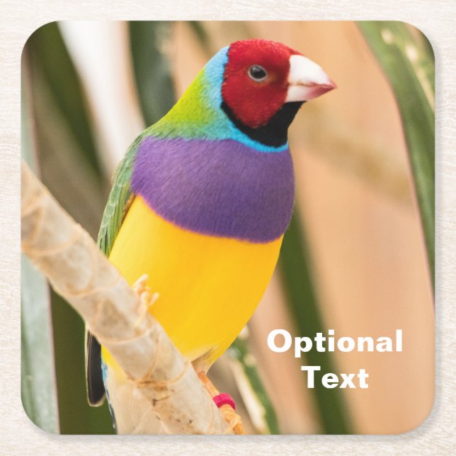 Dessous-de-verre Carré En Papier Lady Gouldian Finch (Devant)