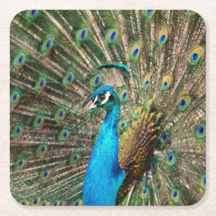 Dessous-de-verre Carré En Papier Le paon bleu