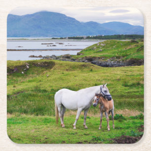 Dessous-de-verre Carré En Papier Les chevaux de Connemara Galway, Irlande