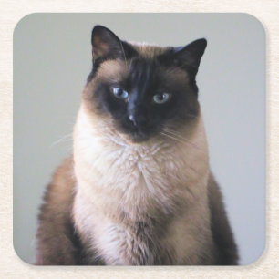 Dessous-de-verre Carré En Papier Lily