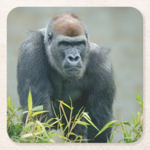 Dessous-de-verre Carré En Papier Lope de Gorilla Blackback