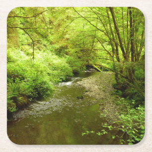 Dessous-de-verre Carré En Papier Lost Man Creek I au Redwood National Park