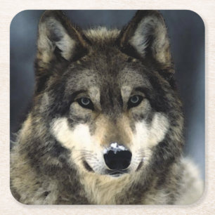 Dessous-de-verre Carré En Papier Loup