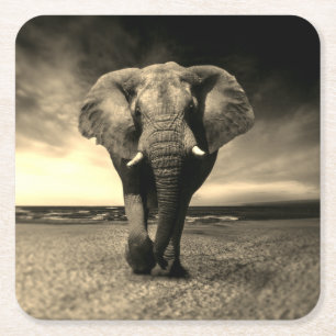 Dessous-de-verre Carré En Papier Majestic Wild Bull Elephant à Sepia