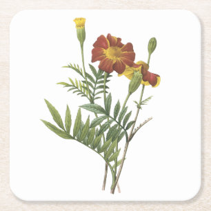 Dessous-de-verre Carré En Papier marigold(Tagetes sp.) par Redouté