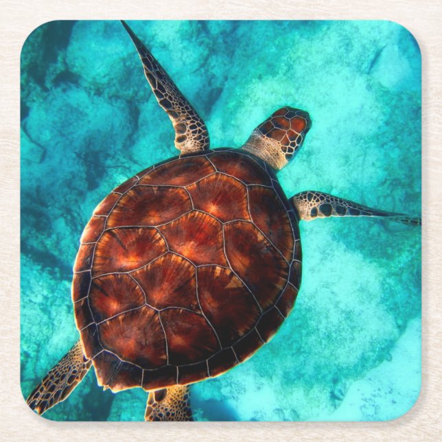 Dessous-de-verre Carré En Papier Marine Life Tortue marine (Devant)
