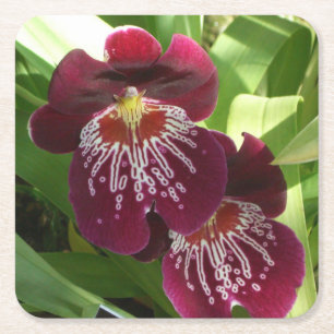 Dessous-de-verre Carré En Papier Maroon Orchids II