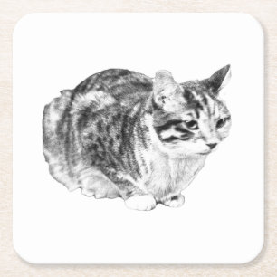 Dessous-de-verre Carré En Papier Minuscule galerie : Tabby sur Cushion
