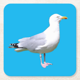 Dessous-de-verre Carré En Papier Mouette Debout Fond Minimal Bleu Ciel Côte