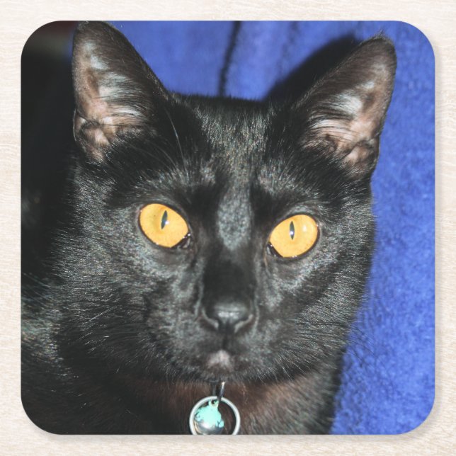 Dessous-de-verre Carré En Papier Murphy (Devant)