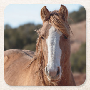 Dessous-de-verre Carré En Papier Mustang sauvage