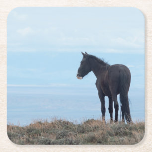 Dessous-de-verre Carré En Papier Mustang sauvage