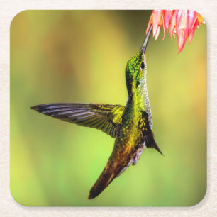 Dessous-de-verre Carré En Papier Oiseau rose de colibri