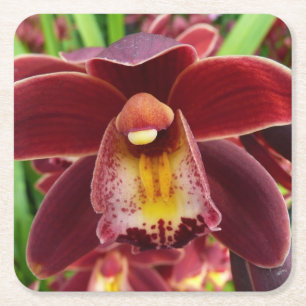 Dessous-de-verre Carré En Papier Orchidées de Maroon I Beau Floral Rouge