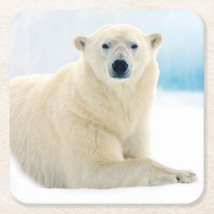 Dessous-de-verre Carré En Papier Ours polaire adulte grand verrat sur la glace d'ét
