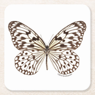 Dessous-de-verre Carré En Papier Papillon de tigre de châtaigne