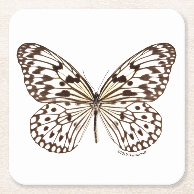 Dessous-de-verre Carré En Papier Papillon de tigre de châtaigne (Devant)