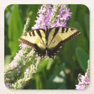 Dessous-de-verre Carré En Papier Papillon Swallowtail sur Fleurs sauvages pourpres