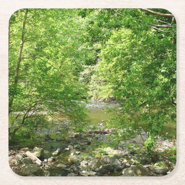 Dessous-de-verre Carré En Papier Patapsco River View Maryland Nature Photographie (Devant)