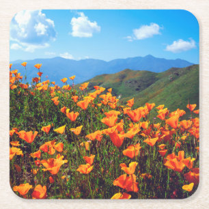 Dessous-de-verre Carré En Papier Pavots de Californie couvrant un flanc de colline