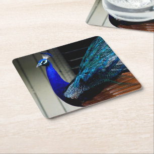 Dessous-de-verre Carré En Papier Peacock bleu