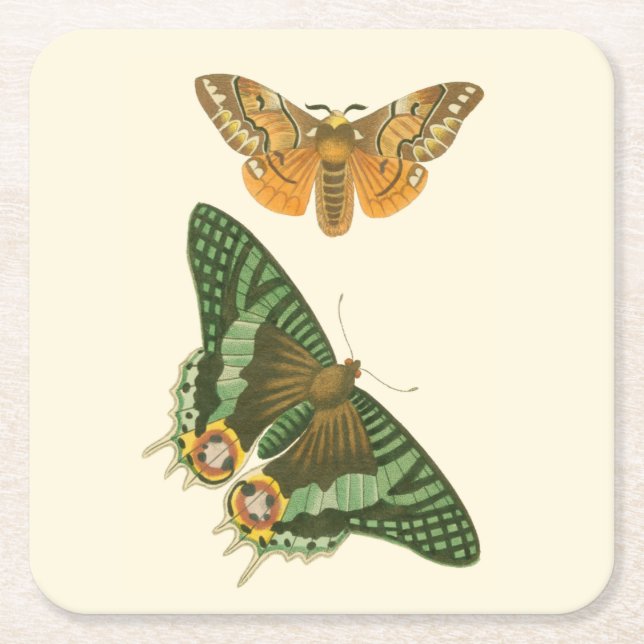 Dessous-de-verre Carré En Papier Peinture à papillon légèrement frontière (Devant)