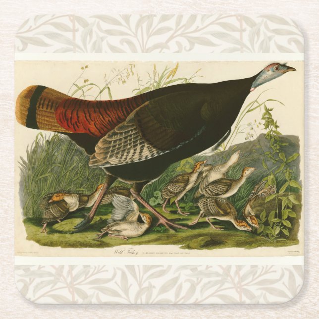 Dessous-de-verre Carré En Papier Peinture d'oiseaux sauvages de Turquie Audubon (Devant)
