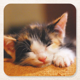 Dessous-de-verre Carré En Papier Petit sommeil de Kitty