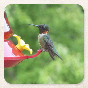 Dessous-de-verre Carré En Papier Photographie d'oiseau de colibri à gorge rubis