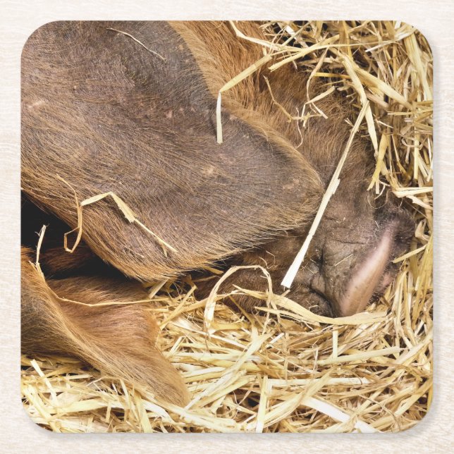 DESSOUS-DE-VERRE CARRÉ EN PAPIER PIÈCES (Devant)