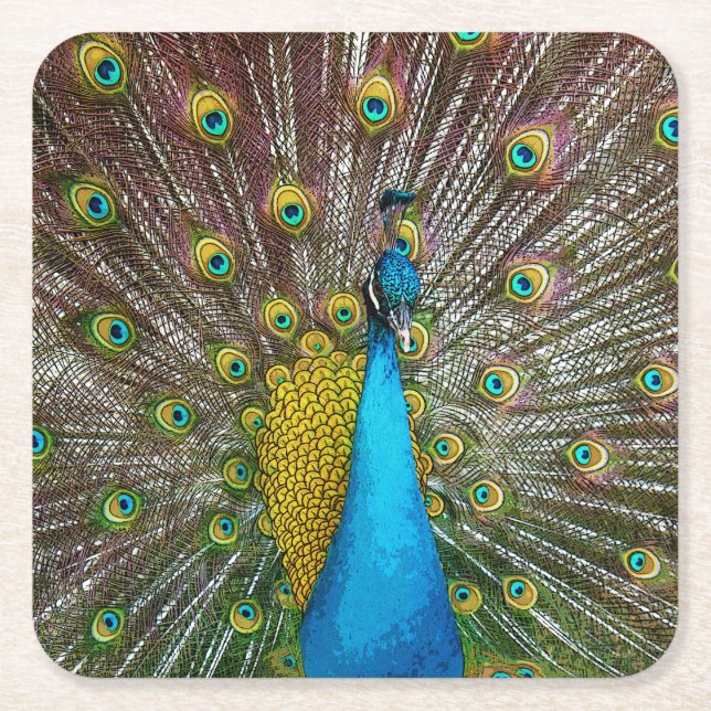 Dessous-de-verre Carré En Papier Pierrafeu avec Plumage Royal sur écran (Devant)