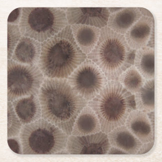 Dessous-de-verre Carré En Papier Pierre de Petoskey Michigan État fossile de pierre