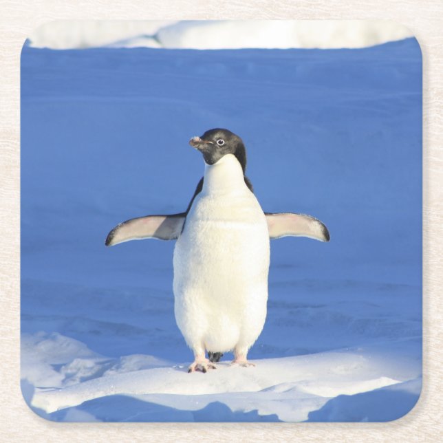 Dessous-de-verre Carré En Papier Pingouin (Devant)